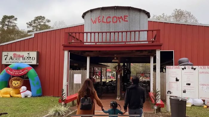 7-acre Wood family fun park