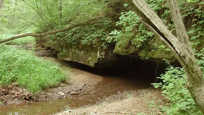 MMSP-24-Blog-CoolvilleOhio-InBody2-JF-v1.webp