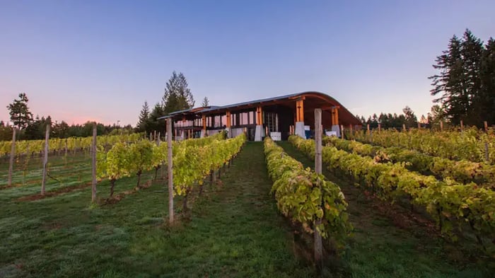 Cobble Hill vineyard
