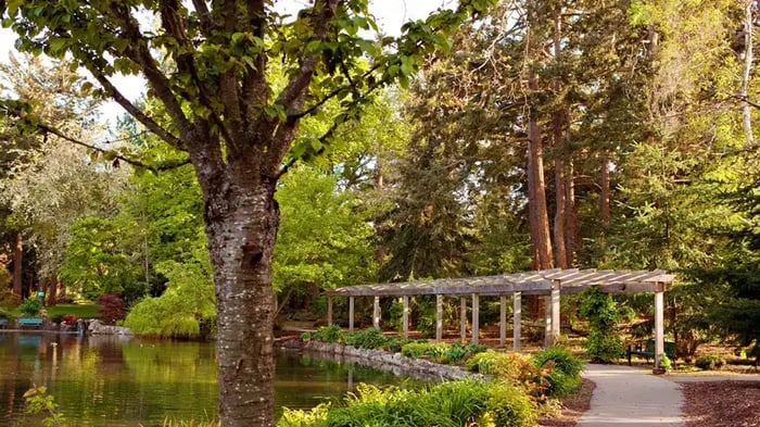 Beacon Park Vitoria