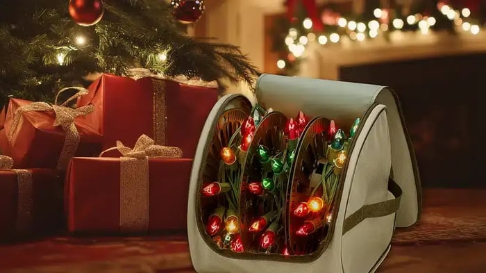 MMSP-24-Blog-HowtoStoreChristmasLights-InBody-JF-v2.webp