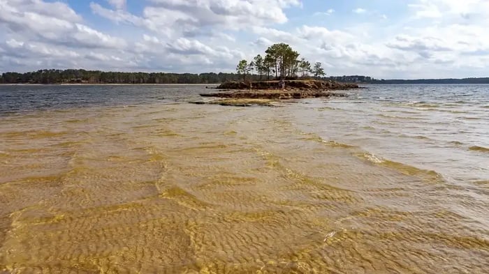 Lake Sam Rayburn