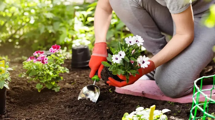 woman gardening in Piney Flats, TN