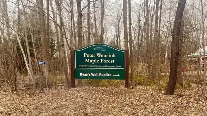 Peter Wensink Maple Forest in Kemptville, ON