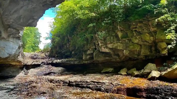Nature in Morgantown West Virgina