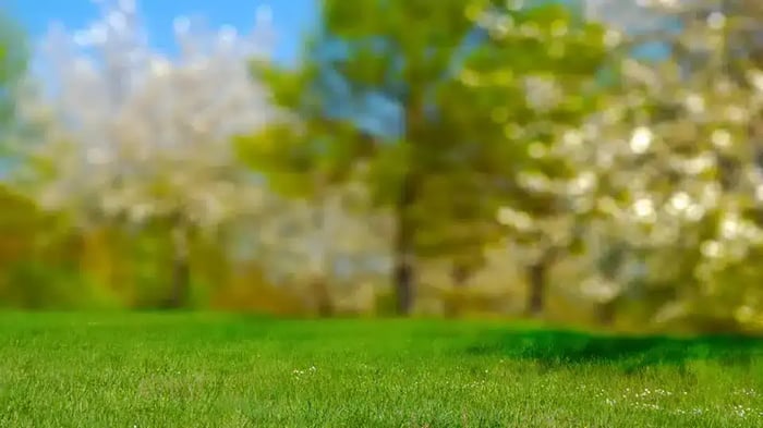 Park in Cedar lake, IN