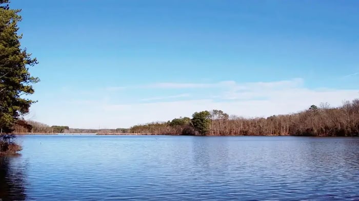 Lake Fisher