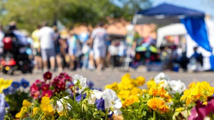 Exploring Summerville, SC: The Flower Town in the Pines