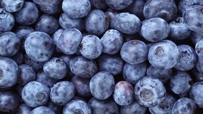 blueberries