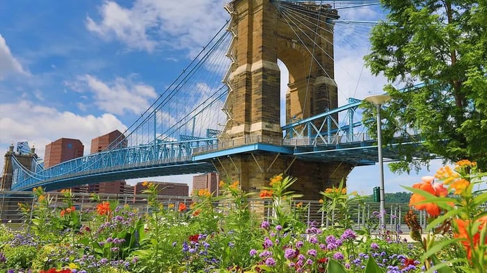 a bridge and flowers in Cincinnati