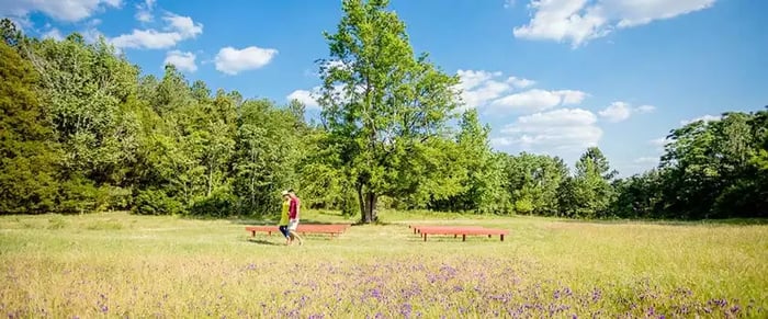 Park in Loganville