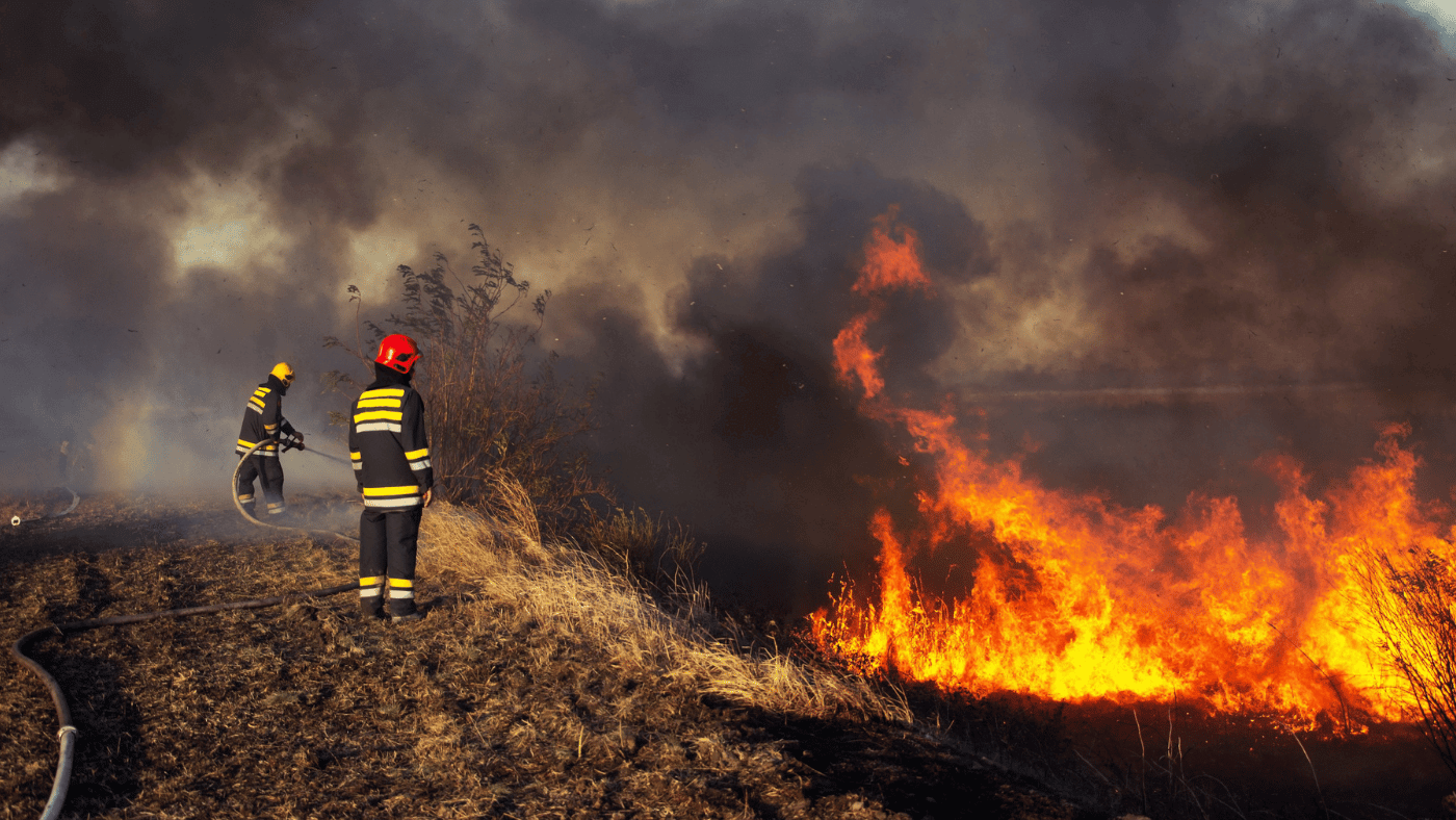 Firefighters responding to a wildfire as part of disaster preparedness efforts